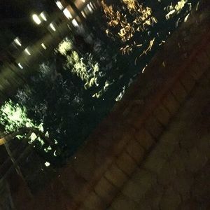 Meet your Posher, Edora